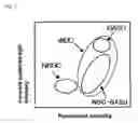 Fig. 02 - Reagent kit for sample analysis and sample analysis method