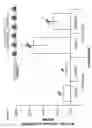 Fig. 32 - Compositions and methods for identification of PARP function, inhibitors, and activators
