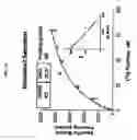 Fig. 19 - GPCR expression vector