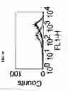 Fig. 23 - GPCR expression vector