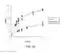 Fig. 09 - Methods to identify USP1 deubiquitinating enzyme complex inhibitors