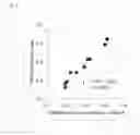 Fig. 08 - HIGH-MOLECULAR-WEIGHT ADIPONECTIN MEASUREMENT METHOD