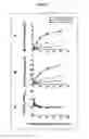 Fig. 03 - QUANTIFICATION OF CHANGES IN THE DEGREES OF ORDER OF CELLULAR AND VIRAL MEMBRANES AND APPLICATIONS TO DIAGNOSIS, TREATMENT AND DRUG SCREENING