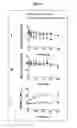 Fig. 05 - QUANTIFICATION OF CHANGES IN THE DEGREES OF ORDER OF CELLULAR AND VIRAL MEMBRANES AND APPLICATIONS TO DIAGNOSIS, TREATMENT AND DRUG SCREENING