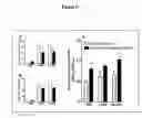 Fig. 07 - QUANTIFICATION OF CHANGES IN THE DEGREES OF ORDER OF CELLULAR AND VIRAL MEMBRANES AND APPLICATIONS TO DIAGNOSIS, TREATMENT AND DRUG SCREENING