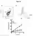 Fig. 09 - QUANTIFICATION OF CHANGES IN THE DEGREES OF ORDER OF CELLULAR AND VIRAL MEMBRANES AND APPLICATIONS TO DIAGNOSIS, TREATMENT AND DRUG SCREENING