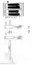 Fig. 02 - Methods of producing a secreted protein