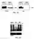 Fig. 06 - Methods of producing a secreted protein