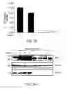Fig. 08 - Methods of producing a secreted protein