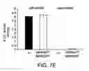 Fig. 22 - Methods of producing a secreted protein