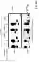 Fig. 55 - Methods of producing a secreted protein