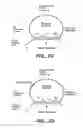 Fig. 07 - Precircle probe nucleic acid amplification methods