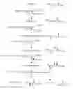 Fig. 01 - Microorganisms for the production of adipic acid and other compounds