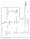 Fig. 06 - Microorganisms for the production of adipic acid and other compounds