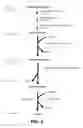 Fig. 07 - Microorganisms for the production of adipic acid and other compounds