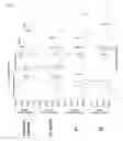 Fig. 28 - Enzyme associated with equol synthesis