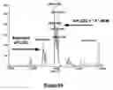 Fig. 06 - Method for enhancing catalytic activity of a lipase