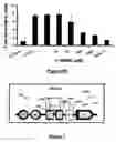 Fig. 07 - Method for enhancing catalytic activity of a lipase