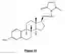 Fig. 10 - Method for enhancing catalytic activity of a lipase