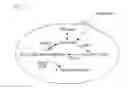 Fig. 02 - Mutants having capability to produce 1, 4-butanediol and method for preparing 1, 4-butanediol using the same