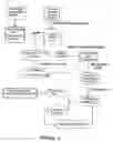 Fig. 02 - Vectors and Methods for Tissue Specific Synthesis of Protein in Eggs of Transgenic Hens