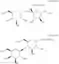Fig. 19 - Molecular transporters based on sugar and its analogues and processes for the preparation thereof