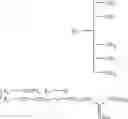 Fig. 40 - Molecular transporters based on sugar and its analogues and processes for the preparation thereof