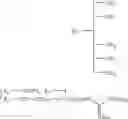 Fig. 41 - Molecular transporters based on sugar and its analogues and processes for the preparation thereof