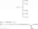 Fig. 46 - Molecular transporters based on sugar and its analogues and processes for the preparation thereof