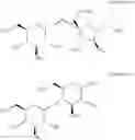 Fig. 70 - Molecular transporters based on sugar and its analogues and processes for the preparation thereof