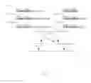 Fig. 03 - INSULATING POLYNUCLEOTIDES DERIVED FROM ELEMENT D4Z4 AND THEIR USES IN TRANSGENESIS