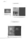 Fig. 09 - Improved Reprogramming of Mammalian Cells, and Cells Obtained