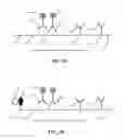 Fig. 02 - DIAGNOSTIC DEVICE AND METHOD