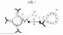 Fig. 02 - Detection method and determination method for detection target