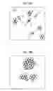 Fig. 03 - Detection method and determination method for detection target