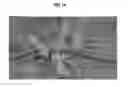 Fig. 13 - High precision scanning of encoded hydrogel microparticles