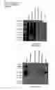 Fig. 22 - Method of detecting endometriosis in human subjects using SEQ ID No. 9 or an epitope thereof