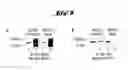 Fig. 10 - COMPLEXES OF TRPC DOMAINS AND SESTD1 DOMAINS AND METHODS AND USES INVOLVING THE SAME