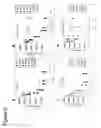 Fig. 06 - USE OF HEAT-RESISTANT BIOTIN-BINDING PROTEIN, AND SOLID SUPPORT HAVING THE PROTEIN ATTACHED THERETO