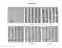 Fig. 05 - Ultrasensitive detection of biomolecules using immunoseparation and diffractometry