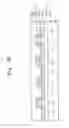 Fig. 13 - Methods of forming one transistor DRAM devices