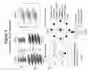 Fig. 06 - System and method for language-independent manipulations of digital copies of documents through a camera phone