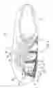 Fig. 03 - Training system for an article of footwear with a ball control portion