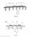 Fig. 07 - Racket