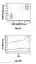 Fig. 08 - Activated carbon cryogels and related methods