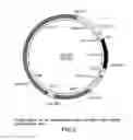 Fig. 04 - Surface display of recombinant proteins in lower eukaryotes