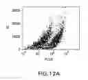 Fig. 17 - Surface display of recombinant proteins in lower eukaryotes
