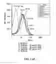 Fig. 24 - Surface display of recombinant proteins in lower eukaryotes