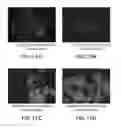 Fig. 25 - Surface display of recombinant proteins in lower eukaryotes