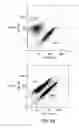 Fig. 28 - Surface display of recombinant proteins in lower eukaryotes